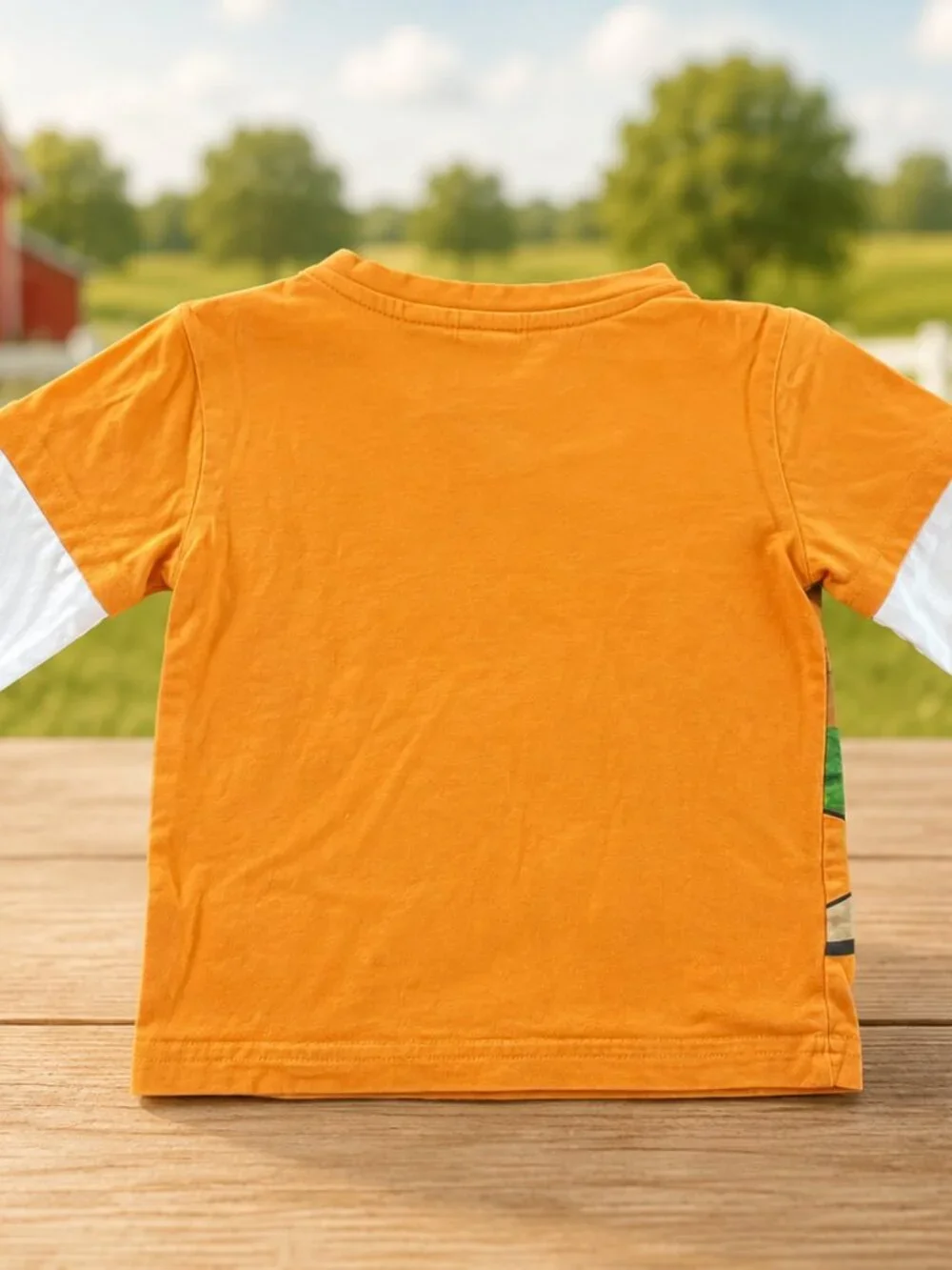 H&M Farm Animal Shirt + Cat & Jack Green Shorts Toddler 18-24M Outfit Set